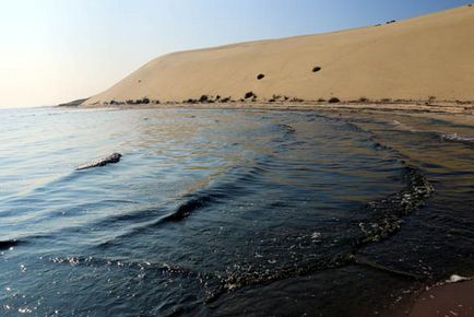 Trecând prin pădurea danubiței Curonian Lagoon