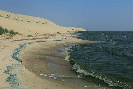 Trecând prin pădurea danubiței Curonian Lagoon