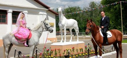 Проведення весіль в кінному клубі в Москві, ціни