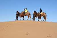 Deserturile din Uzbekistan - Kyzylkum, Podișul Ustyurt, Stepa Hungry