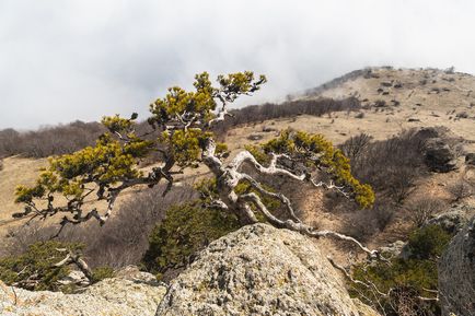 Călătorie prin Crimeea de iarnă