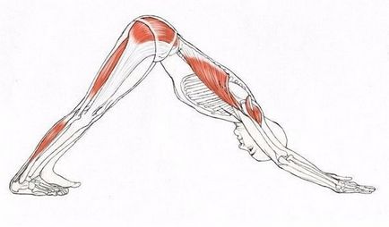 Stretching musculare