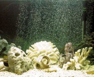Javítása akvárium berendezés, Poseidon