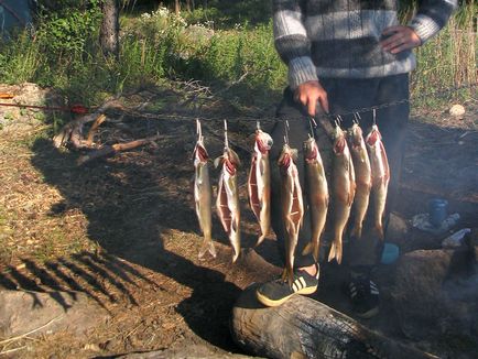 Pescuit pe Lacul Baikal