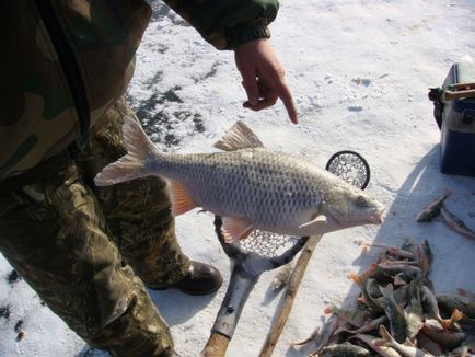 Pescuit pe Lacul Baikal