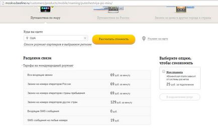 Roaming Beeline în Statele Unite