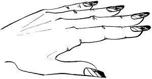 Руки і нігті світового стандарту - манікюр «доміно» - книги «»