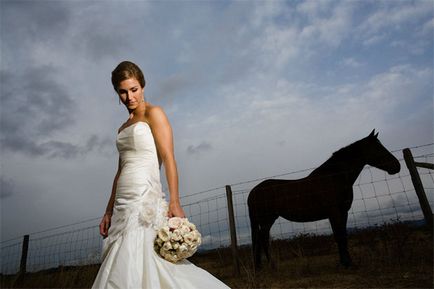 Найкращі сучасні весільні фотографи і їх шедеври