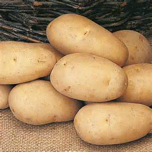 Найнадійніші способи посадки картоплі на цілині - город без турбот