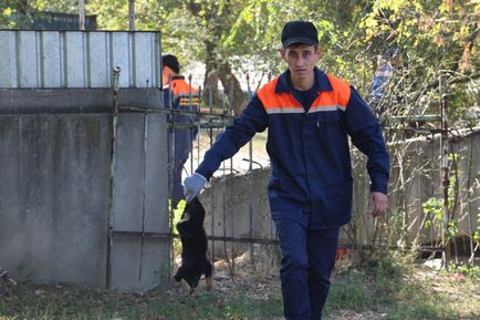 Ordonanții orașului pentru care serviciul de capturare a animalelor fără stăpân a devenit periculos pentru viață