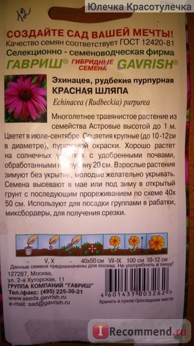 Насіння Гавриш ехінацея червоний капелюх - «найвища Астрова ехінацея! Цвітіння в перший рік! »,