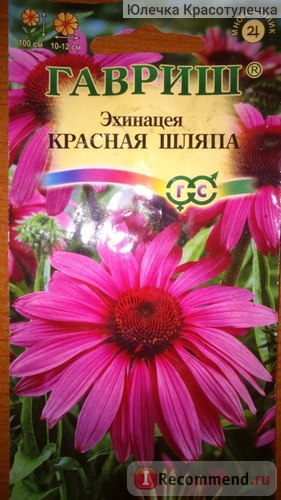 Насіння Гавриш ехінацея червоний капелюх - «найвища Астрова ехінацея! Цвітіння в перший рік! »,