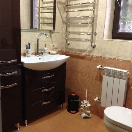 Dulapurile pentru baie sunt încastrate, înclinate, podea, dulapuri sub chiuvetă, dulap oglindă (30 fotografii),