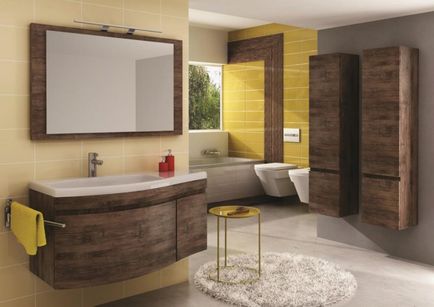 Szekrény a fürdőszobában - 90 fotó elrendezése ötletek a modern design