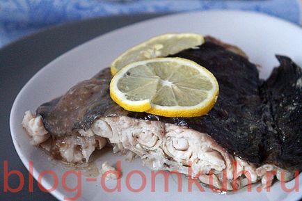 Catfish coapte în mânecă, blog de Ghenadie Vasiliev