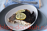 Catfish coapte în mânecă, blog de Ghenadie Vasiliev
