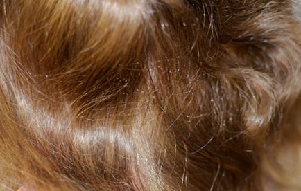 Спрей-бустер з кератином, обсяг і зміцнення волосся keratin volume booster від lorvenn - блог на ...