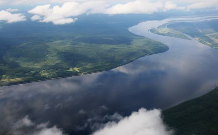 Összehasonlítás Angarskoi fenyő és fenyő a központi része az orosz