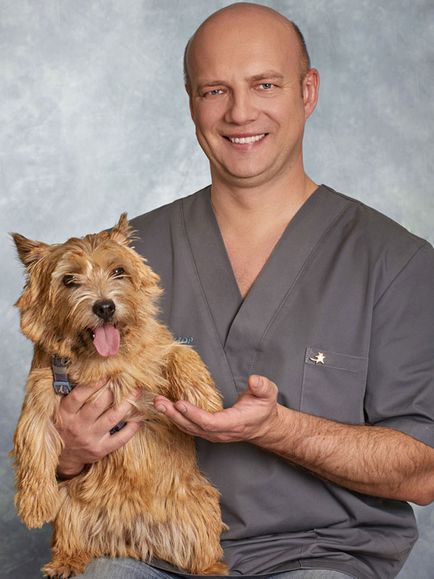 Стерилізація домашніх тварин (собак, кішок) в клініці - ветдоктор