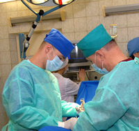 Стерилізація кішок за ціною 2500 рублів і догляд після операції за 1500