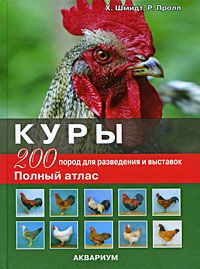 Суксунский худобу велику рогату худобу червоні молочні породи