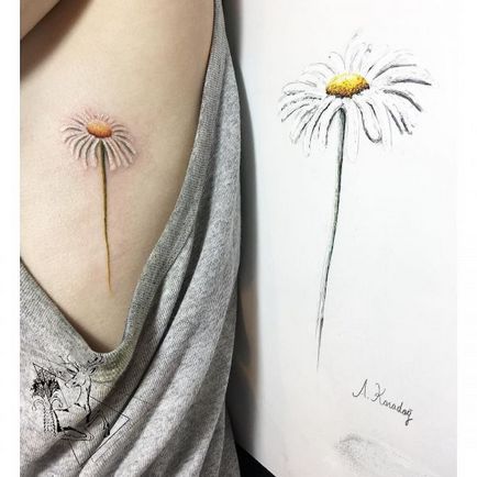 Tattoo daisy sensul tatuaj, fotografie, schițe