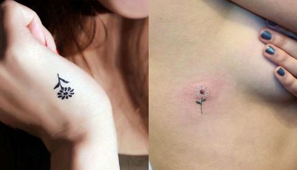 Tatuaj de mușețel, simbol bun, pozitiv, fotografie, schițe