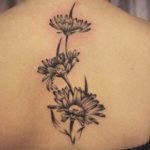 Tattoo Daisy valoare pentru fete și bărbați, schițe și fotografii