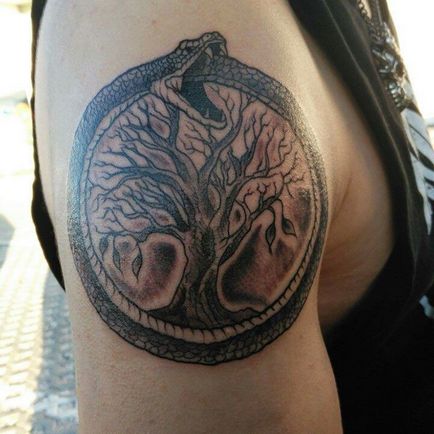 Tattoo Ouroboros szimbólum érték és fotó Ouroboros tetoválás