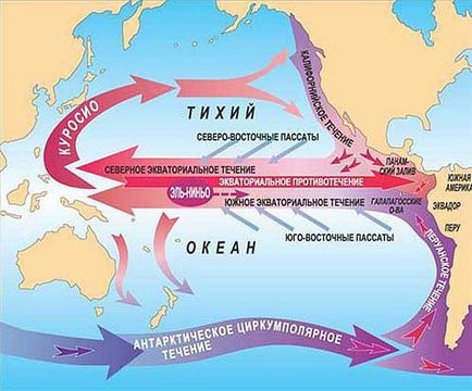 Descrierea actuală și caracteristicile Kuroshio