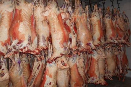 Technológiai juhok levágása (vágás) Sheep vágási technológia