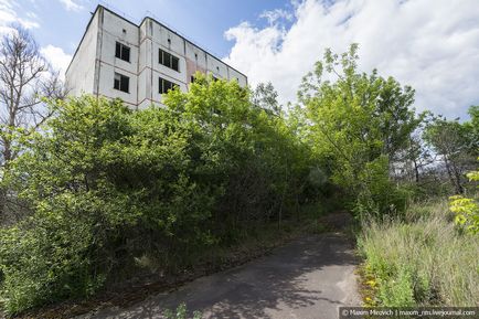 Ce nu știai despre Cernobîl