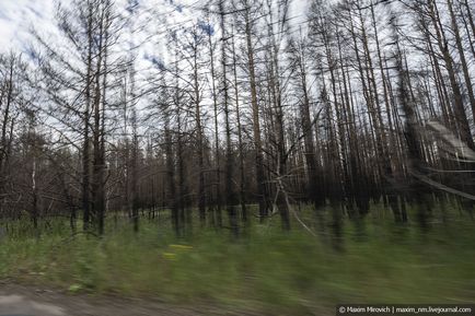 Те, чого ви не знали про Чорнобиль