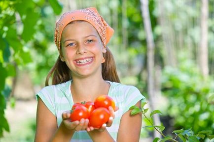 Tomatele sunt cele mai vechi soiuri de roșii