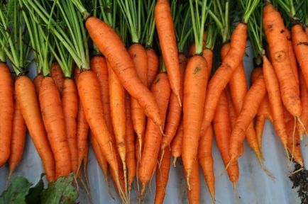 Top 12 leghasznosabb zöldség a konyhában Egészséges táplálkozás