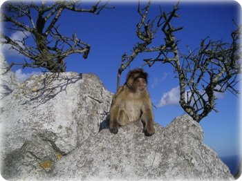 Turul gibraltarului din Marbella - sfaturi pentru turiști