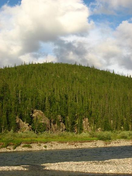 Уральські гори