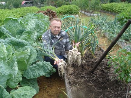 Вузькі грядки для городу своїми руками відео, фото