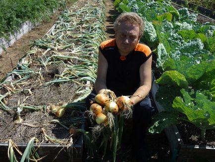 Вузькі грядки для городу своїми руками відео, фото