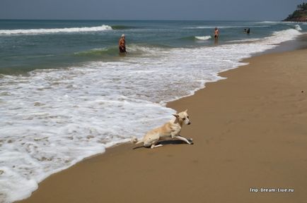 Varkala, Kerala, Dél-Indiában