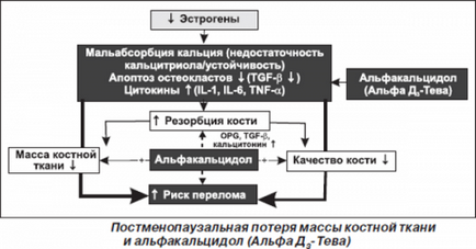 Tipuri de osteoporoză