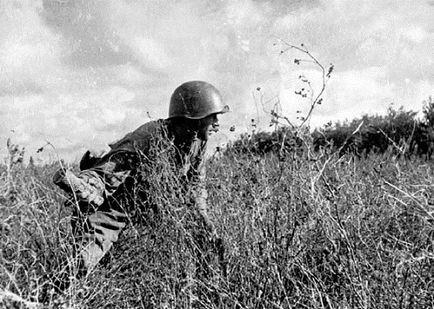 Fotografiile militare ale istoriei anilor de război
