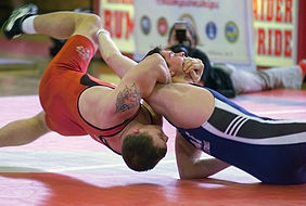 Freestyle wrestling - istorie (arte marțiale și arte marțiale - lupte freestyle, lupte greco-romane,