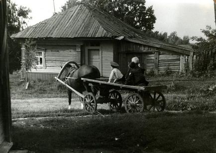 Asta este vara noastră! Nostalgia pentru sărbătorile de vară din satul bunicii mele (32 fotografii)