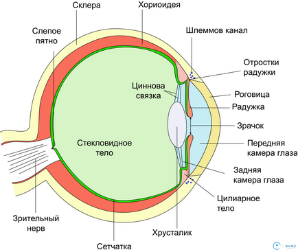 Posibile complicații după înlocuirea obiectivului cu cataractă