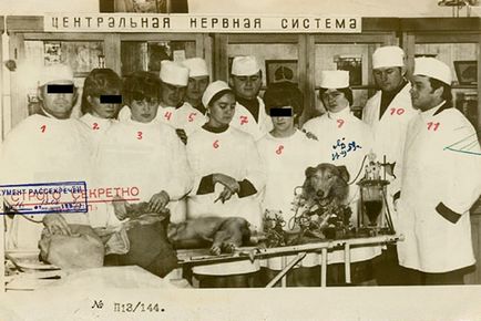 În URSS, proiectul de animale animate - coli - bloguri - bloguri pentru jucători, bloguri de jocuri, crearea unui blog,