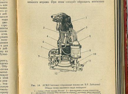 În URSS, proiectul de animale animate - coli - bloguri - bloguri pentru jucători, bloguri de jocuri, crearea unui blog,
