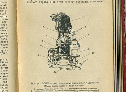 У ссср оживляли тварин проект - коллі - блоги - блоги геймерів, ігрові блоги, створити блог,