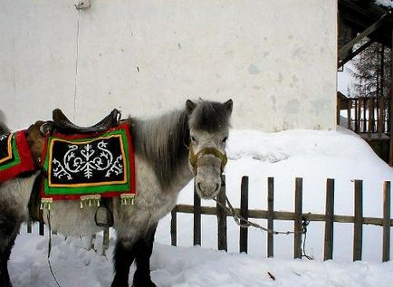 Calul Yakut - o casă fără fundație