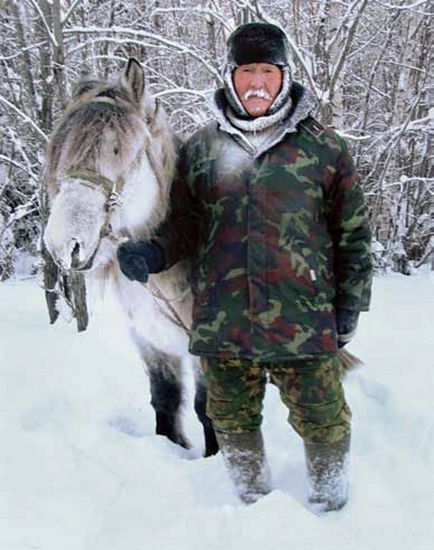 Yakut cal cai uimitoare de rasa Yakut nativ (fotografie, video)